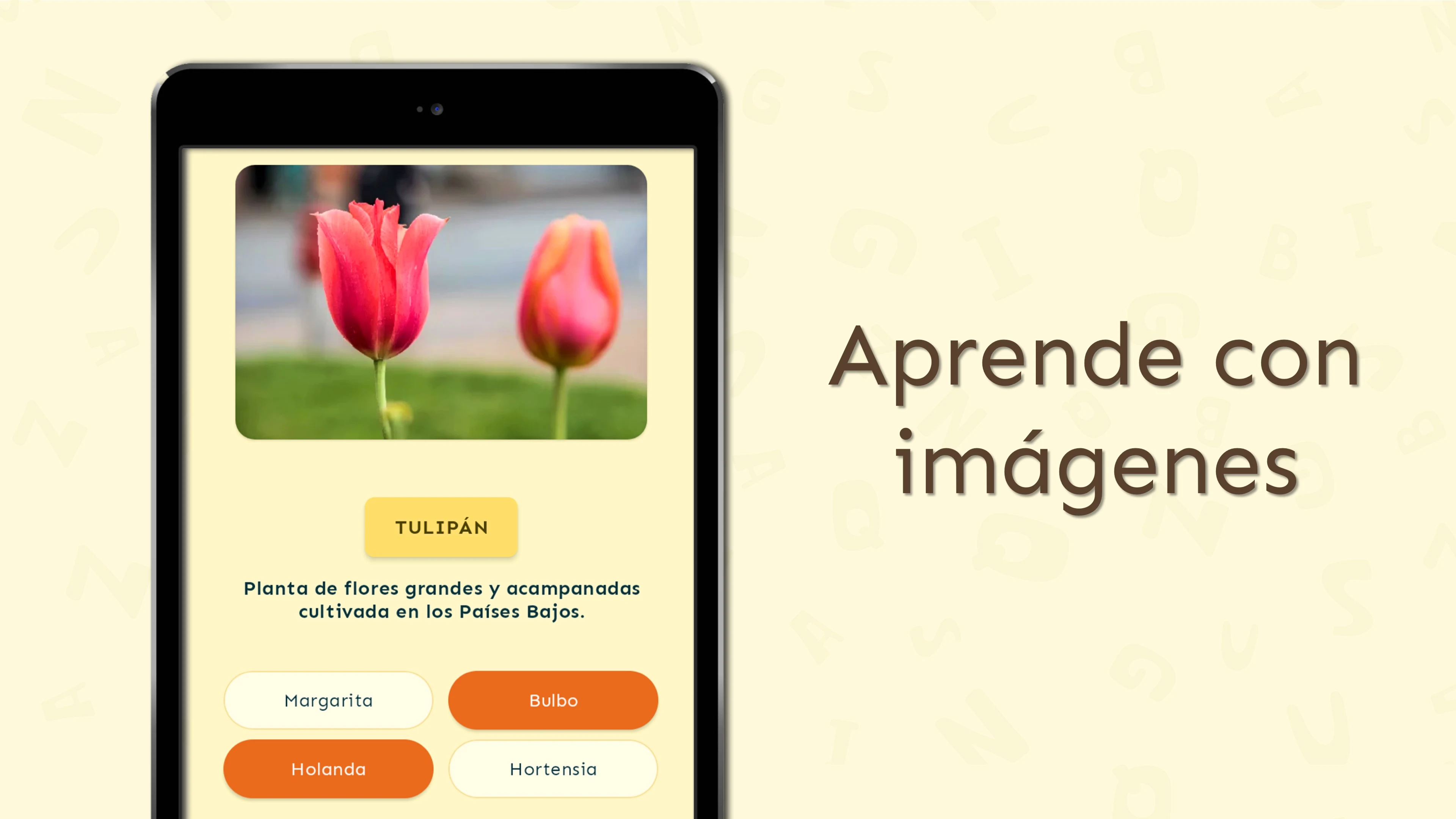 Verba - Advanced Spanish words screenshot