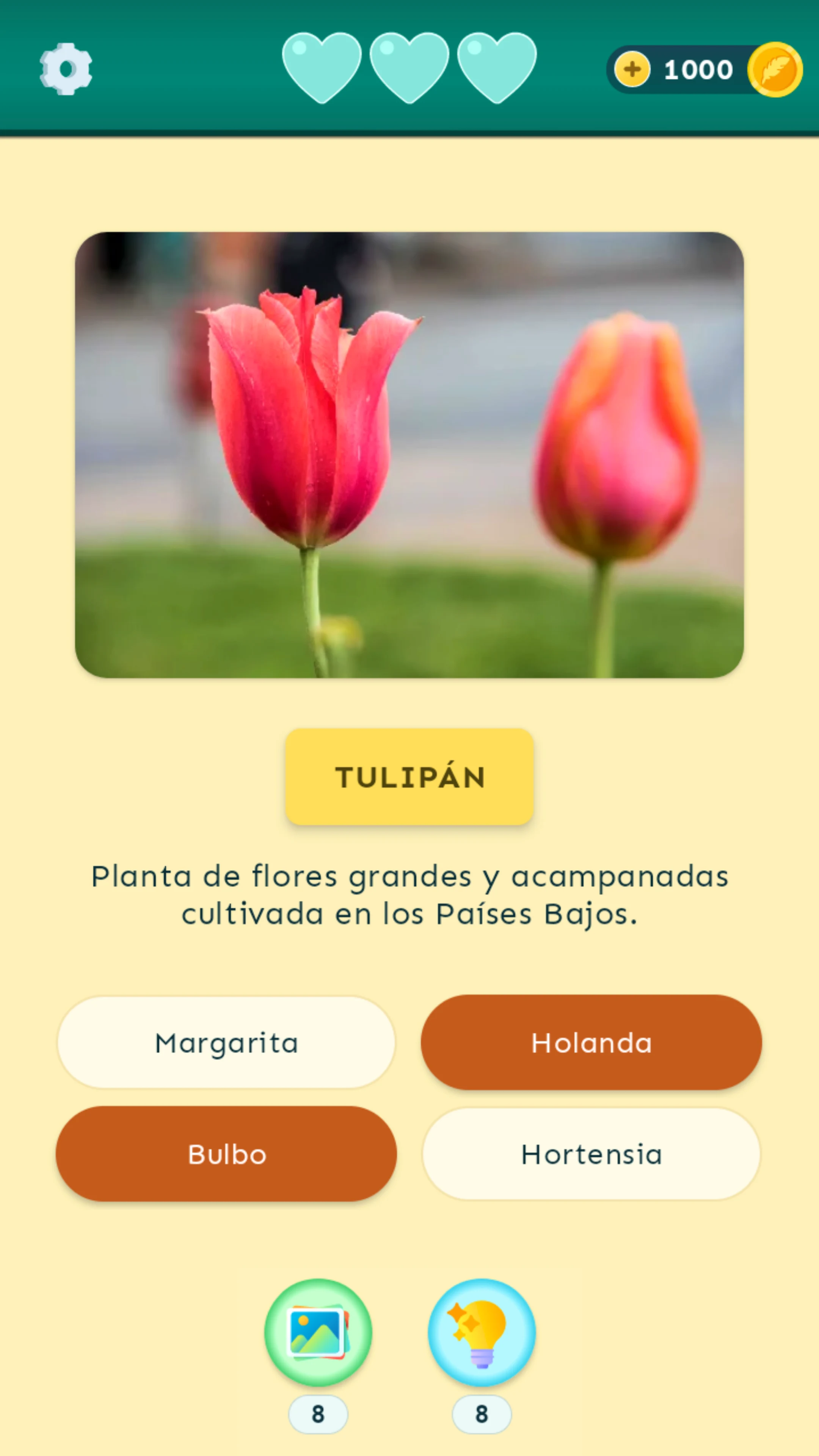 Verba - Advanced Spanish words screenshot